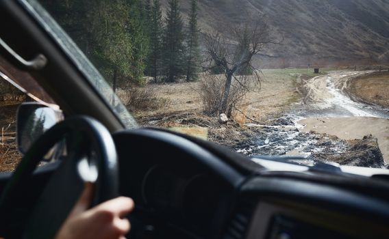 Road trip through the nature of Europe. Car point of view