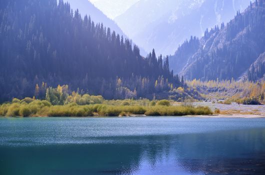 Mountain Lake with plants and trees in USA. California