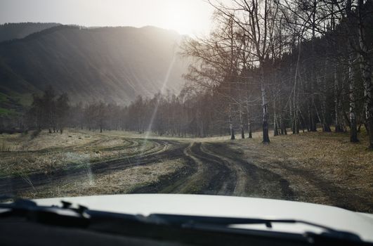 Road trip through the nature of Europe. Car point of view