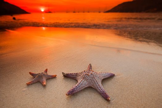 Tropical beach with two starfish in white sand and beautiful sunset on background