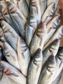 Many sea bass fish on ice for sale, Fish local market stall with fresh seafood,view from top.