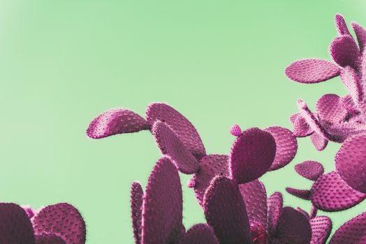 pink Prickly Pear Cactus on green background, creative pop art style with pastel shades, copy space for text
