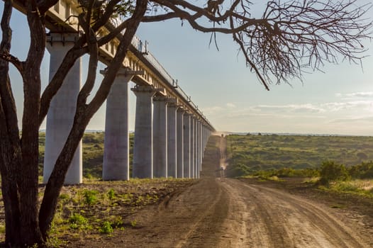 View of the viaduct of the Nairobi railroad to mombassa in the savannah of Nairobi Park in central Kenya