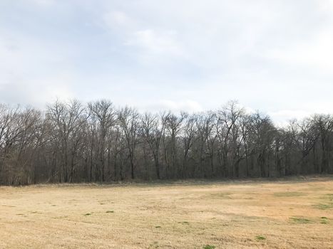 Natural park in the wintertime with bare trees outside of Dallas, Texas, USA