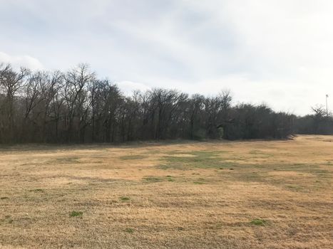 Natural park in the wintertime with bare trees outside of Dallas, Texas, USA