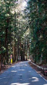 Suginami Cedar Avenue in Nikko. The longest tree lined avenue in the world with 35 km of 400-year old, 30 meter-tall Japanese cedar trees.