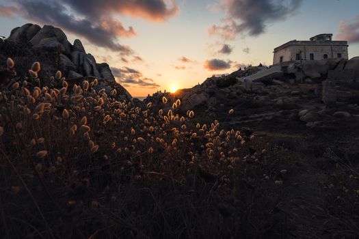 The thickets shine illuminated by the sunlight at sunset in a rocky landscape, in the blue and orange sky there are some clouds, relaxing feeling of peace and tranquility, Capo Testa, Sardinia, Italy