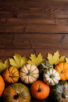 Many colorful pumpkins and maple leaves frame on wooden background , autumn harvest , Halloween or Thanksgiving concept