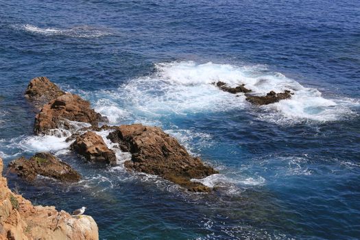 Top view on the rock in the deep blue sea and seagulls on a sunny day