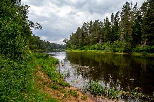 Summer landscape with river, forest and cloudy blue sky. Gauja is the longest river in Latvia, which is located only in the territory of Latvia. 