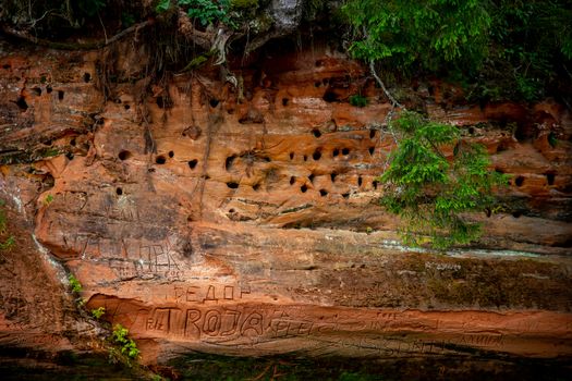 Closeup of sandstone cliff formation near the river Gauja in Latvia. Sedimentary rock consisting of sand or quartz grains cemented together.