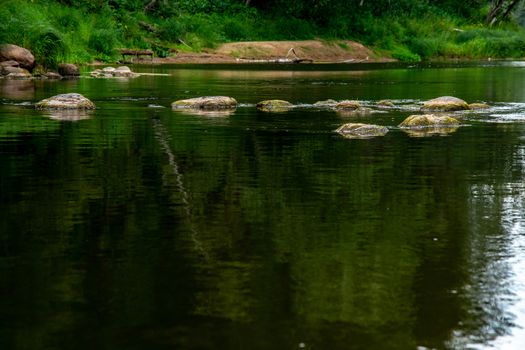Landscape of flowing river and green forest on coast. Stones in the river. Gauja is the longest river in Latvia, which is located only in the territory of Latvia. 