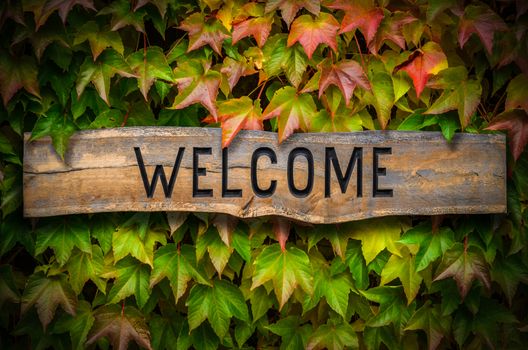 Rustic Retro Wooden Carved Welcome Sign Against A Beautiful Leafy Backdrop Outside A School Or Hotel Or Restaurant