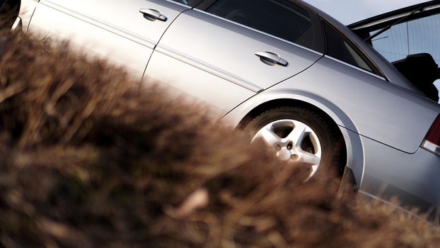 The car on the nature in yellow grass. Wheels and tyres closeup near autumn park