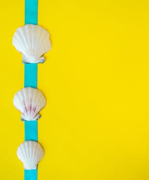 Seashells with light blue ribbon on yellow background like a postcard
