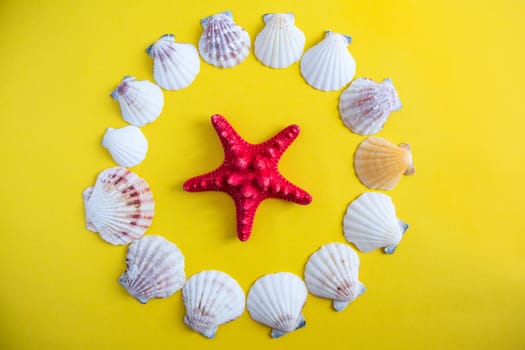 White seashells and red starfish on yellow background