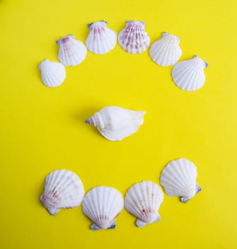 Semicircle of white seashells on yellow background