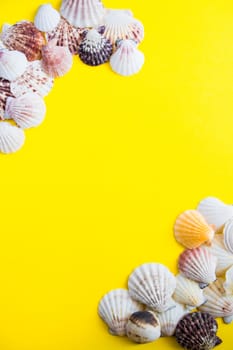 Different type of seashells in the corners of the yellow background