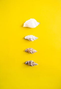 Vertical line of different size of seashells on yellow background