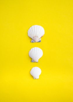 Vertical line of different size of seashells on yellow background