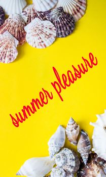 Seashells in the corners of the yellow background with lettering - inspiration by summer