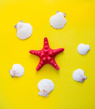 Red starfish and white seashells on yellow background like on the beach