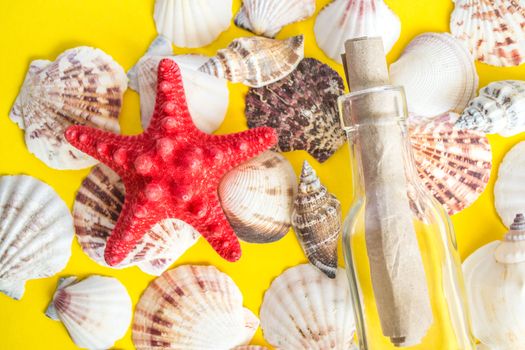 white seashells and starfish with message in a glass bottle on yellow background