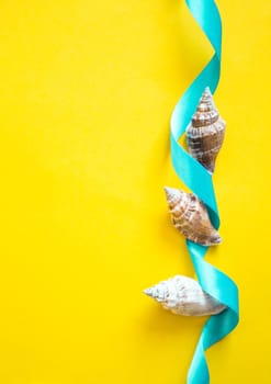 Seashells with light blue ribbon on yellow background like a postcard