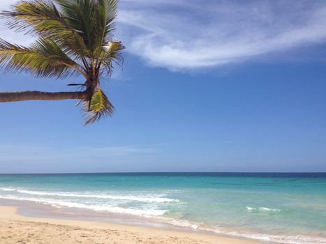 Beautiful tropical beach, palm trees sea - Paradise.