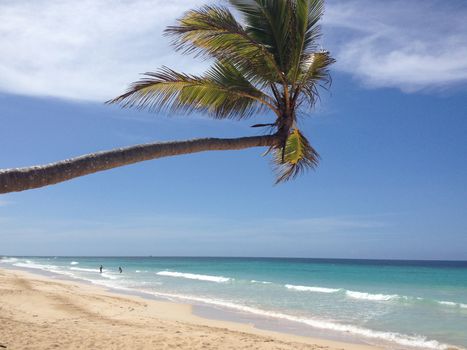 Beautiful tropical beach, palm trees sea - Paradise.