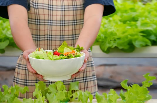 fresh organic salad with tuna in white bowl in farm