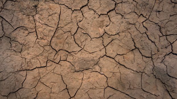 Texture of grunge dry cracking parched earth , Global warming effect