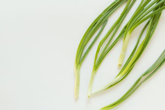 Fresh green onions on white isolated background. A place for your text, a copy of the space, the concept of vegetarian and organic food.