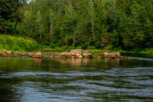 Landscape of flowing river and green forest on coast. Stones in the river. Gauja is the longest river in Latvia, which is located only in the territory of Latvia. 

