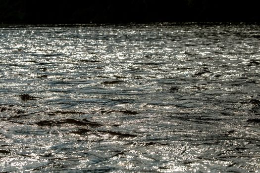 River color and reflections offshore in shallow water in Latvia as background. The Gauja is the longest river in Latvia, which is located only in the territory of Latvia. 

