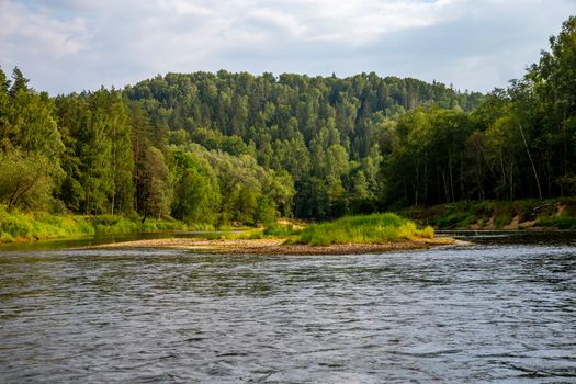 Landscape of flowing river, green forest and blue sky. Gauja is the longest river in Latvia, which is located only in the territory of Latvia. 