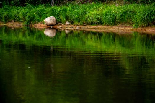 Landscape of river, green long grass and stones on the coast. Green forest reflection in water. Gauja is the longest river in Latvia, which is located only in the territory of Latvia. 

