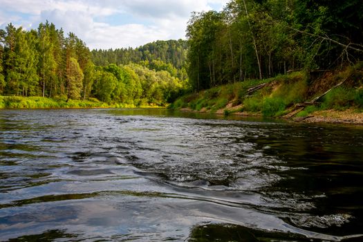 Landscape of flowing river, green forest and blue sky. Gauja is the longest river in Latvia, which is located only in the territory of Latvia. 