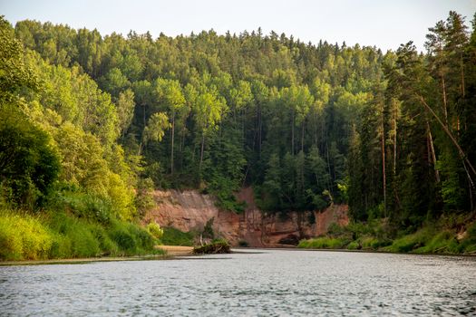 Landscape with cliff, flowing river and green forest in Latvia. Gauja is the longest river in Latvia, which is located only in the territory of Latvia. 