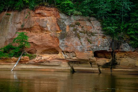 Closeup of sandstone cliff formation with cave on bank of river Gauja in Latvia. Birch in the river near the cliff. Gauja is the longest river in Latvia, which is located only in the territory of Latvia. 

