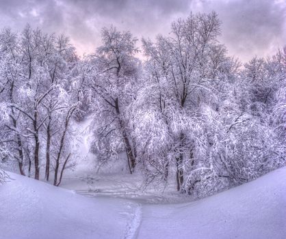 Winter landscape with snowy trees along the winter park
