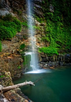 Waterfall flowing over small cliff  into a secluded rock pool wtih a partially submerged tree