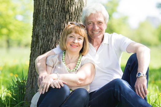 Happy senior couple in the park in summer day sitting under tree
