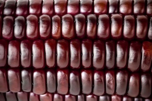 Closeup texture of purple corn seed. Concepts of healthy food.