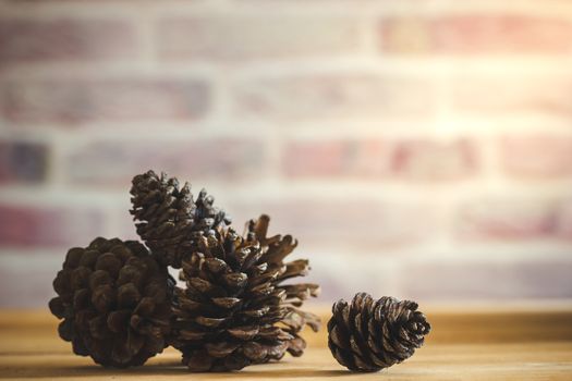 Pine Cone on wooden table and brick wall background with morning sunlight.