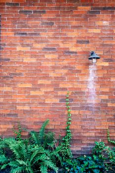 Background of a brick stone wall with green leaves.