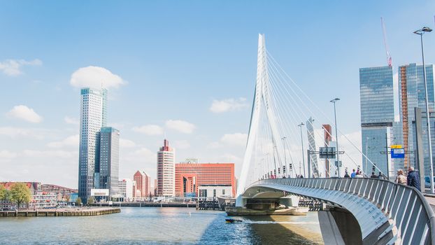 The Erasmus bridge, cable-stayed bridge in the center of Rotterdam