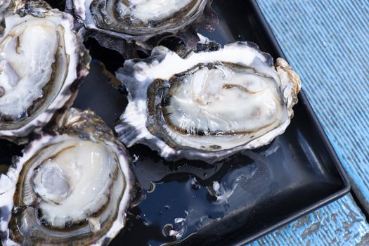 Closeup of large fresh shucked oysters with a blue background.