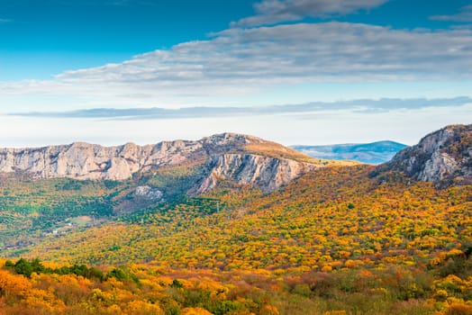 Beautiful orange forest on the slope of the mountains, Crimea, Russia