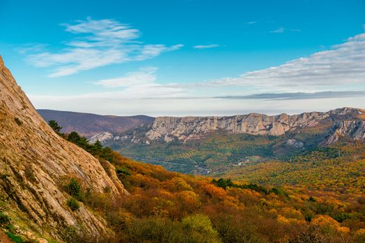 Autumn - Beautiful orange forest on the slope of the mountains, Crimea, Russia